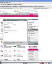2009-02-13T1345_t-online-dienste_thomashomilius.png