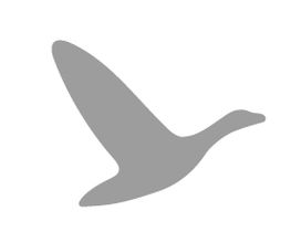 Graugans Logo