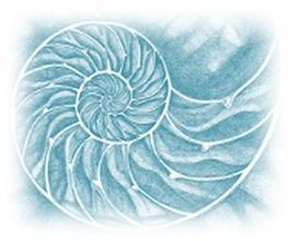 Klangstudio Katrin Hoos Logo