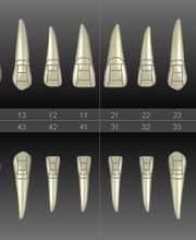 DOX - moderne Zahnarztsoftware für Ihre Praxis