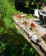 Jardín con mesa, sillas, y macetas junto a un estanque rodeado de vegetación verde.