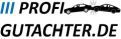 Logo mit Schriftzug "PROFI GUTACHTER.DE" und zwei kollidierenden Autos darüber.