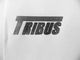 Textlogo "Tribus" auf weißem Hintergrund, Buchstaben stark und dunkel hervorgehoben.