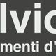 "Logo grigio su sfondo nero con testo: salvioni arredamenti d'interni."