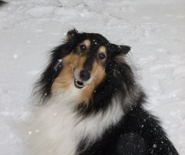 Auch im Winter wenn es schneit