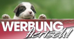 Welpe schaut über Holzzaun, Text: "WERBUNG tierisch!" vor grünem Hintergrund.