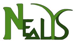 Logo verde con la scritta "NeaLyS" stilizzata su sfondo bianco.