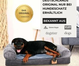 Hund liegt auf einem grauen Hundebett. Text bewirbt exklusives Produkt von Hundeschatz.