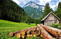 Forest cabin with stacked logs, green meadow, and a mountain backdrop under a blue sky.
