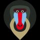 Stilistisch ontwerp van een mandrill-gezicht met felrode en blauwe kleuren op een zwarte achtergrond.