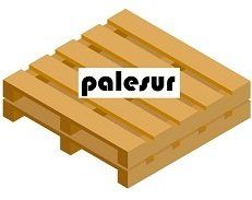 Palé de madera con el logo "palesur" en el centro.