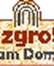 Salzgrotte am Dom Logo