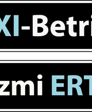 Taxiunternehmen Nazmi Ertas Logo