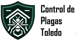 Escudo verde con diseño geométrico y texto negro a la derecha parcialmente ilegible.