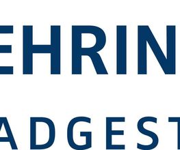 Ehringfeld GmbH Logo