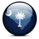 A glossy circle featuring a palmetto tree and crescent moon on a dark blue background.