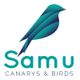 Logotipo de "Samu Canarys & Birds" con diseño de pájaro en tonos verdes y azules.