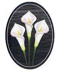 Drei weiße Calla-Lilien auf schwarzem ovalem Hintergrund.