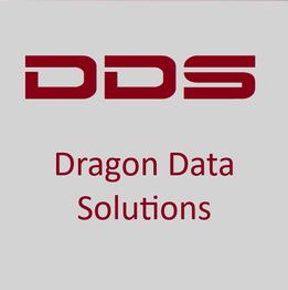 DDS-Logo mit Schriftzug „Dragon Data Solutions“ in Rot auf grauem Hintergrund.