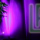 Lila Lichter strahlen nachts neben einem Baum; rechts ein leuchtendes, grünes "LR"-Logo.