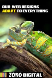 Chameleon on a branch with text: "Our web designs adapt to everything."