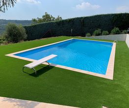 Rechteckiger Pool mit Sprungbrett, umgeben von grünem Rasen und hohen Hecken im Hintergrund.