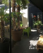 Sonniger Café-Garten mit grünen Stühlen, Holztisch, Pflanzen und Sonnenschirmen.