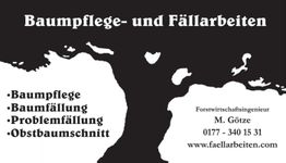 Schwarze Silhouette eines Baums mit Text: Dienstleistungen rund um Baumarbeiten und Kontaktinfo.