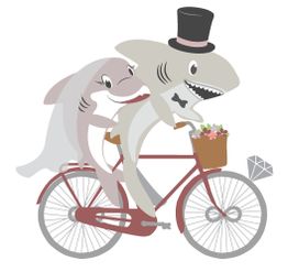 Hai-Paar auf Fahrrad: Braut mit Schleier und Bräutigam mit Zylinder, fröhlich fahrend.