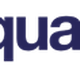 Blauw en turquoise logo van de Stichting Lezen & Schrijven met een silhouet van een persoon.