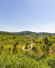 Kaiserstuhl Immobilien GbR Bild 3