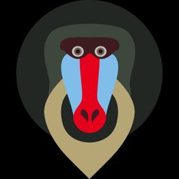Stilistisch ontwerp van een mandrill-gezicht met felrode en blauwe kleuren op een zwarte achtergrond.