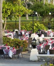 Restaurante al aire libre con mesas vestidas en mantel a cuadros bajo palmeras.