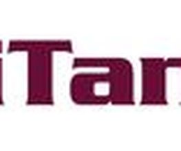 iTanum IT OHG Logo