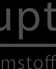 Haupt-Dämmstofftechnik Logo