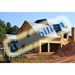 Neubau eines großen Hauses, Text "Immobilien" über dem Bild.