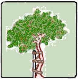 Baum mit dickem Stamm, umwickelt von einem spiralförmigen Band, auf grünem Hintergrund.