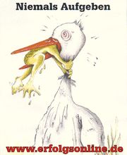 Niemals aufgeben!