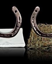 Glückshufeisen - Glück für das Brautpaar