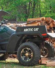 Hombre cargando leña en un vehículo todo terreno Arctic Cat en un campo con árboles.