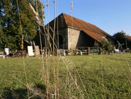 Altes Steinhaus mit rotem Dach, umgeben von Wiese und Bäumen bei sonnigem Wetter.
