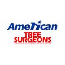 Logo: "American Tree Surgeons" with a star-shaped 'i' and red text.