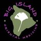 Green island shape with a white flower, purple text: "Big Island Oriental Medicine."