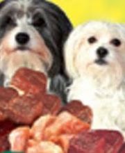 Panys Tiernahrung - Hundefutter & Katzenfutter Lieferservice - Hund, Katze, Pferd Logo