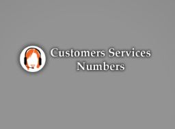 Icon of a person with headphones beside the text "Customers Services Numbers" on gray background.