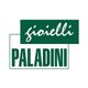 Logo verde con scritte "Gioielli Paladini" in bianco.