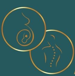 Dois círculos dourados com silhueta de grávida e coluna vertebral em fundo verde.