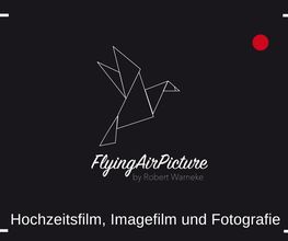 FlyingAirPicture Logo