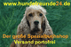Cocker Spaniel vor grünem Hintergrund, Text: www.hundefreunde24.de, Buchshop, Versand portofrei.