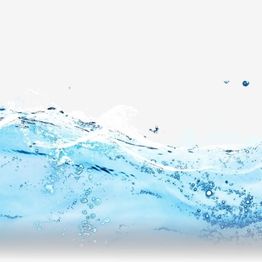 Wellen und spritzendes Wasser auf weißem Hintergrund, frische und lebendige Darstellung.